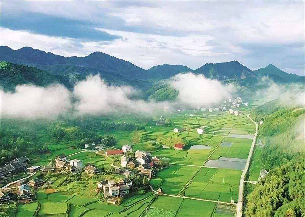 生物質(zhì)能的特點