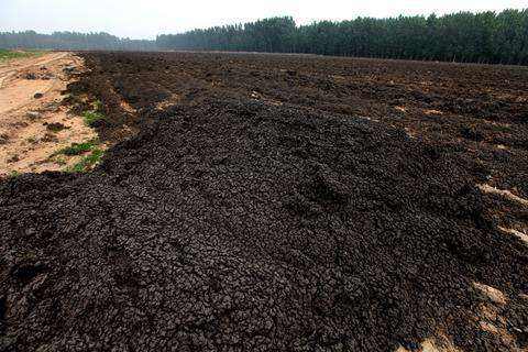 污泥深度脫水技術(shù)及優(yōu)缺點(diǎn)