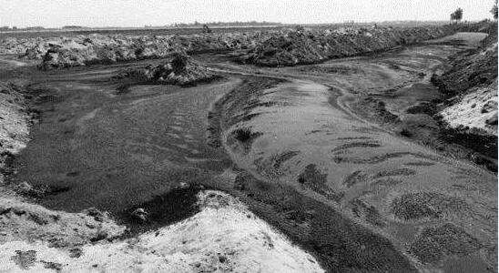 決定污泥處置總費(fèi)用的因素