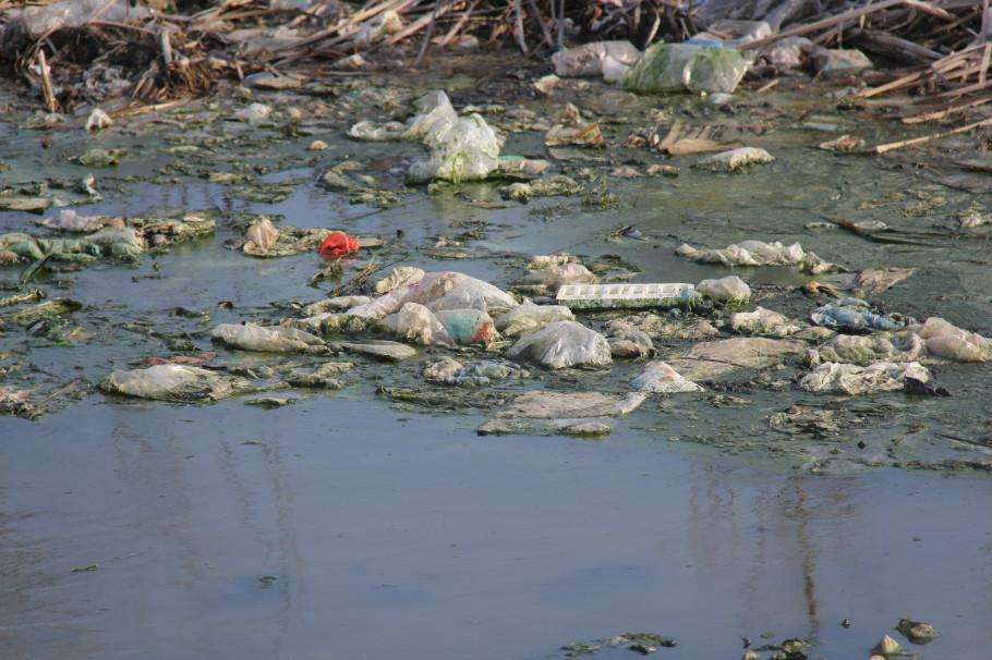 農(nóng)業(yè)廢棄物的屬性判別 農(nóng)業(yè)廢棄物的屬性判別