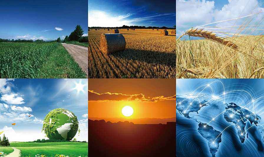 生物質(zhì)鍋爐的類(lèi)型 生物質(zhì)鍋爐的類(lèi)型